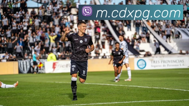 数据分析功能